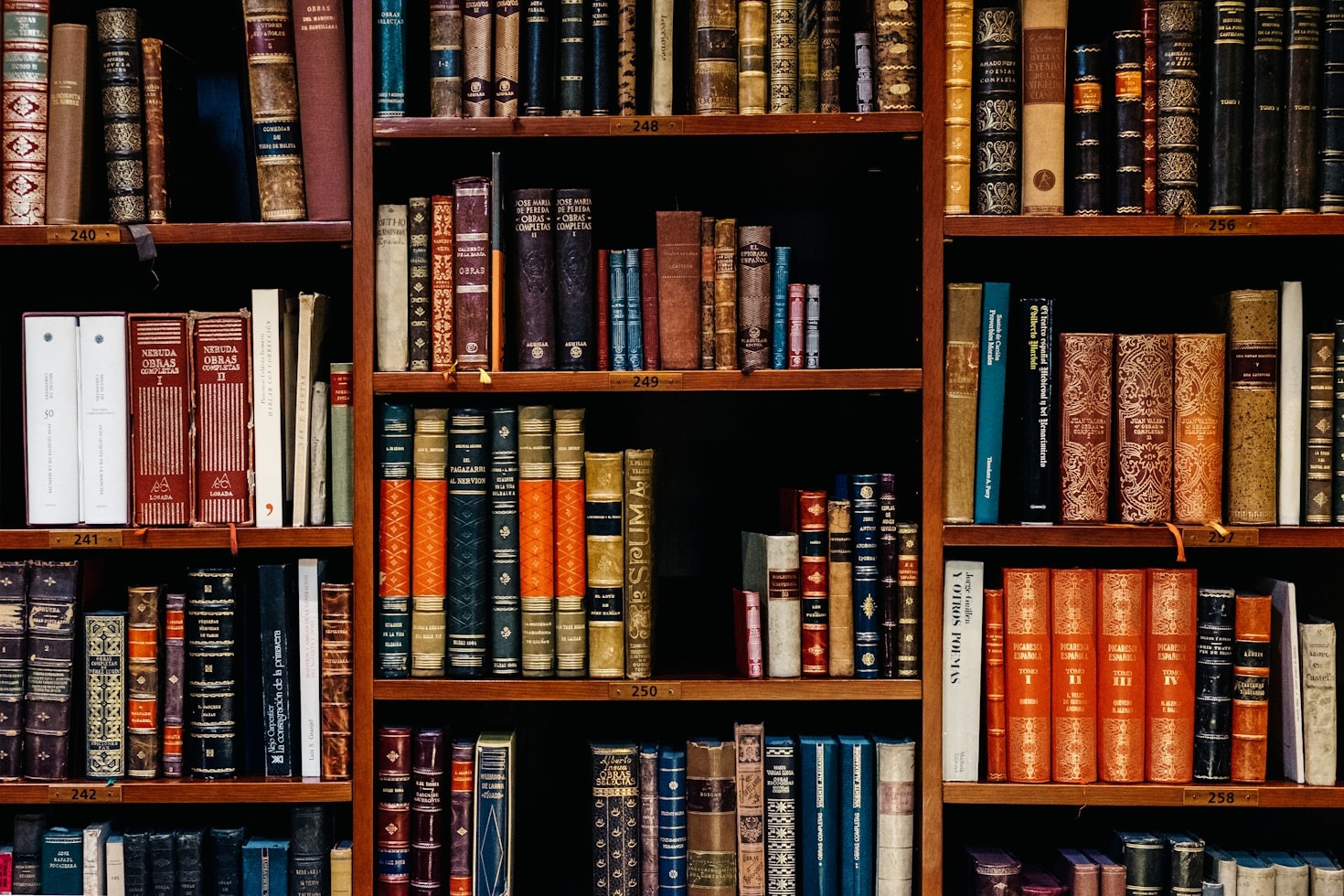 Read more about the article أهم الكتب التي ألهمت كتابنا المحترفين